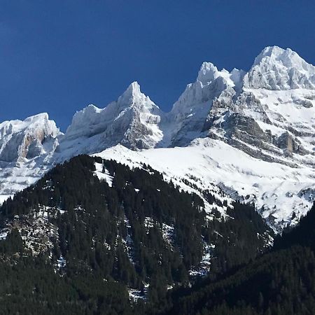 Chalet Hestia Champéry Екстериор снимка